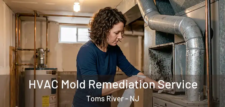 HVAC Mold Remediation Service Toms River - NJ